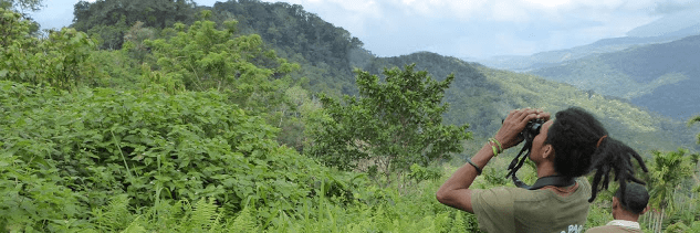Indonesian conservationists scanning for cockatoos on Pulau Adonara