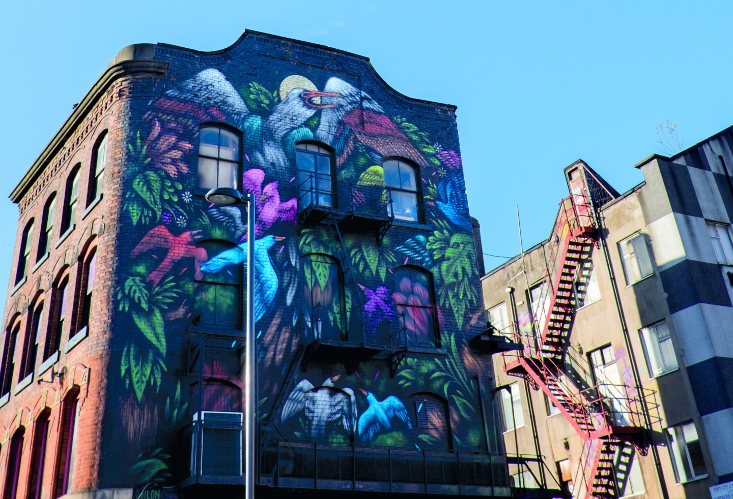 building with graffiti mural