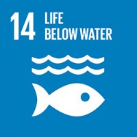 UNAI SDG 14: Life below water logo
