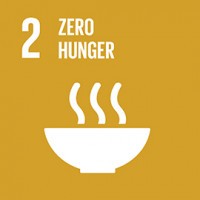 UNAI SDG 2: Zero hunger logo