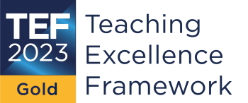 Teaching Excellence Framework 2023 gold award