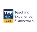 Teaching Excellence Framework 2023 gold logo