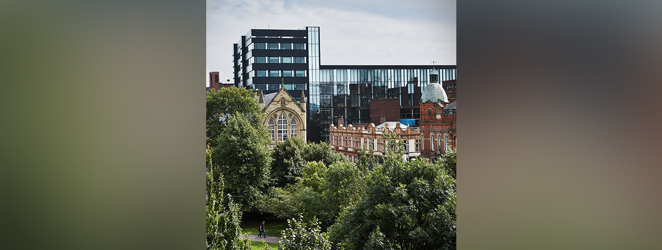 The university campus, overlooking parts of the art school