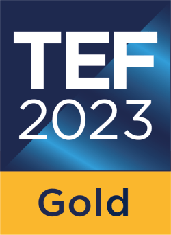 Teaching Excellence Framework 2023 gold award