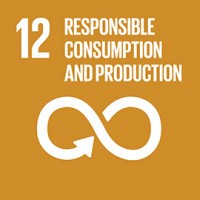 UNAI SDG 12: Responsible consumption and production logo