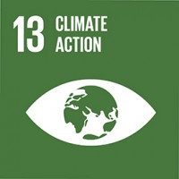UNAI SDG 13: Climate action logo