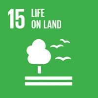 UNAI SDG 15: Life on land logo